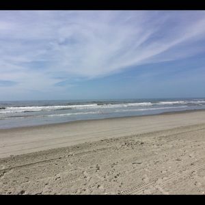 Meet your Posher, Nichol